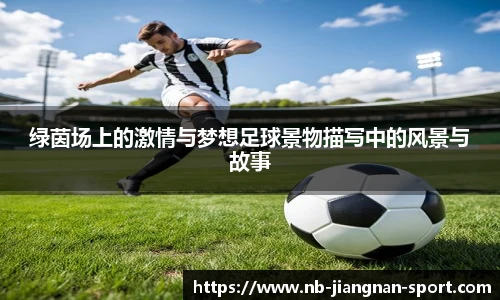 绿茵场上的激情与梦想足球景物描写中的风景与故事